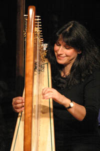 Double Strung harp